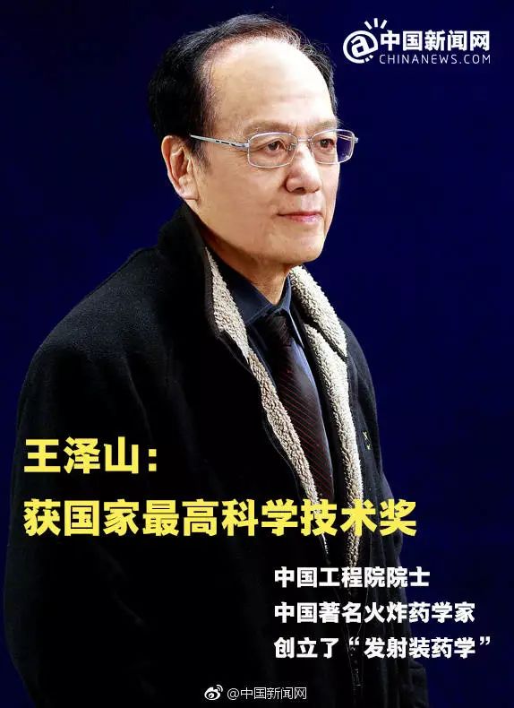 王泽山虎子最新动态，成长历程回顾与未来展望