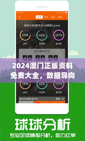 2024年澳门大全免费金锁匙,实地验证数据策略_界面版11.263