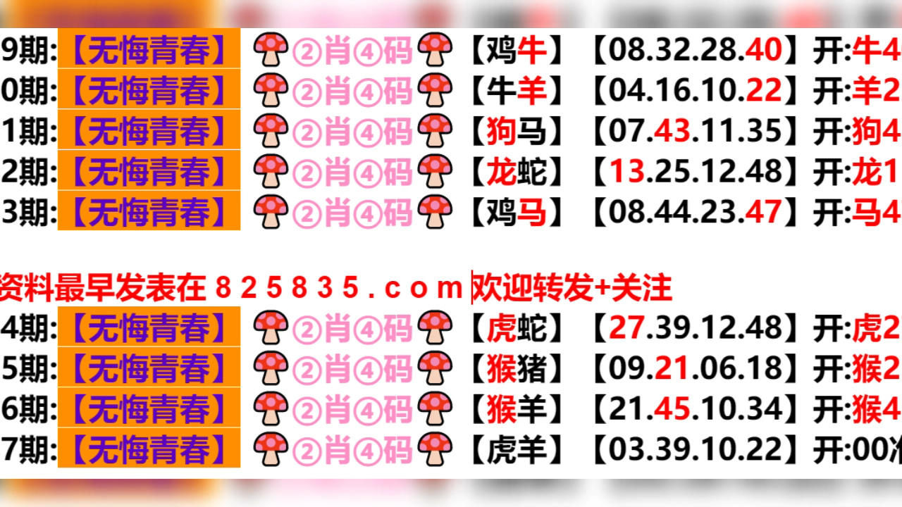 2024新奥历史开奖结果查询澳门六,功能性操作方案制定_专业版79.891