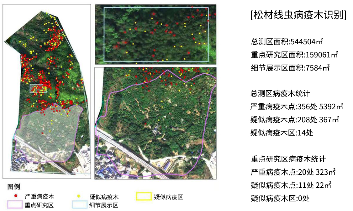 五丰铺林场迈向绿色繁荣的未来，最新发展规划揭秘