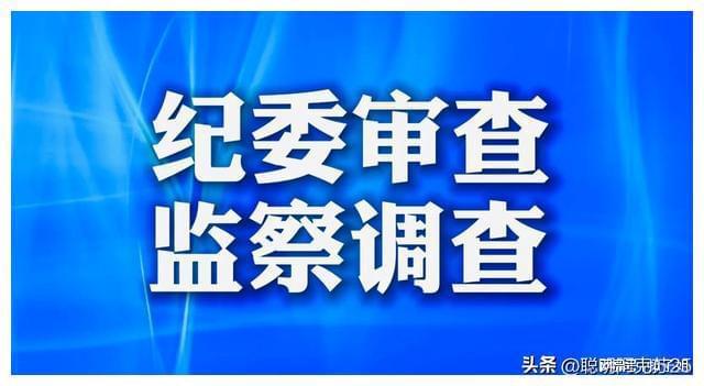 广东反贪最新进展,广东反贪最新进展，持续打击贪腐，构建廉洁社会