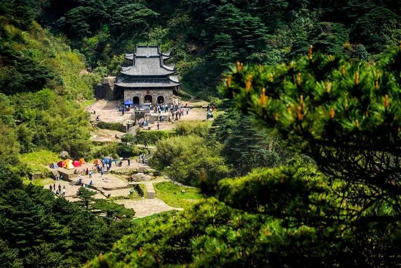 盛夏采薇新作，诗意与远方的交融之旅