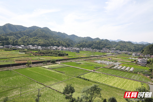 蒿溪回族乡最新天气预报更新通知